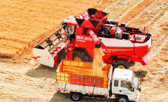 <b>显著降低保守经验种植的盲目性</b>